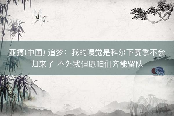 亚搏(中国) 追梦：我的嗅觉是科尔下赛季不会归来了 不外我但愿咱们齐能留队
