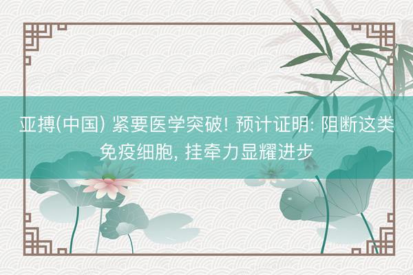 亚搏(中国) 紧要医学突破! 预计证明: 阻断这类免疫细胞， 挂牵力显耀进步