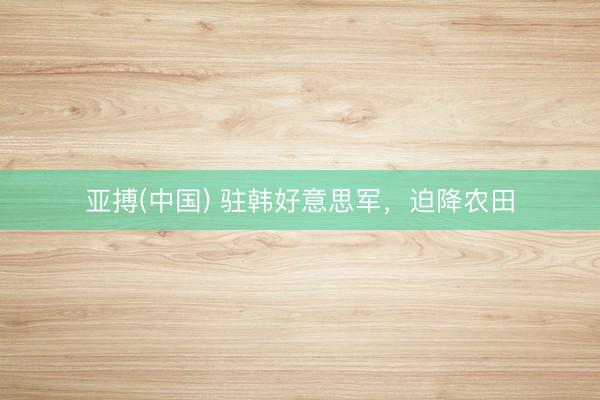 亚搏(中国) 驻韩好意思军,迫降农田