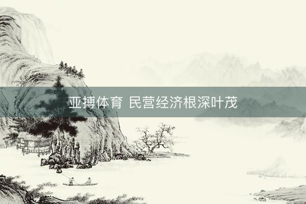 亚搏体育 民营经济根深叶茂