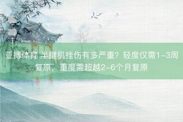 亚搏体育 半腱肌挫伤有多严重？轻度仅需1-3周复原，重度需超越2-6个月复原