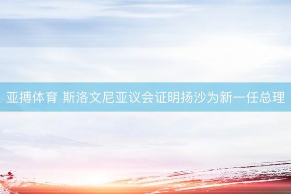 亚搏体育 斯洛文尼亚议会证明扬沙为新一任总理