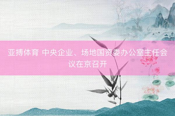 亚搏体育 中央企业、场地国资委办公室主任会议在京召开
