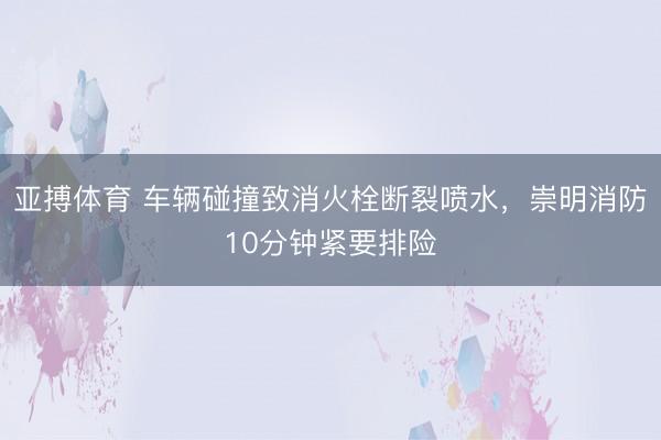 亚搏体育 车辆碰撞致消火栓断裂喷水，崇明消防10分钟紧要排险