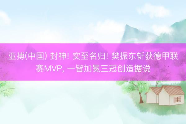 亚搏(中国) 封神! 实至名归! 樊振东斩获德甲联赛MVP， 一皆加冕三冠创造据说