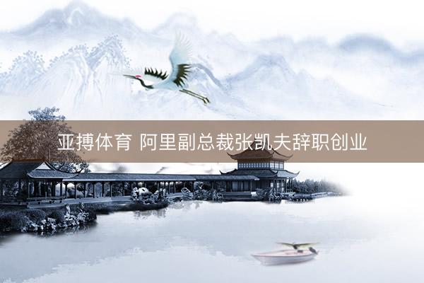 亚搏体育 阿里副总裁张凯夫辞职创业