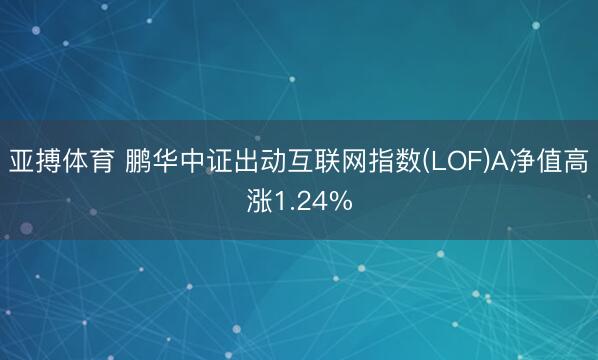 亚搏体育 鹏华中证出动互联网指数(LOF)A净值高涨1.24%