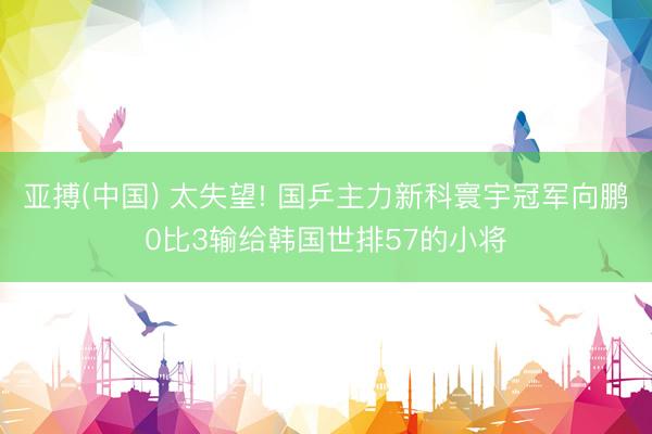 亚搏(中国) 太失望! 国乒主力新科寰宇冠军向鹏0比3输给韩国世排57的小将
