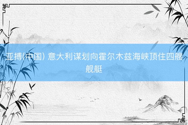 亚搏(中国) 意大利谋划向霍尔木兹海峡顶住四艘舰艇