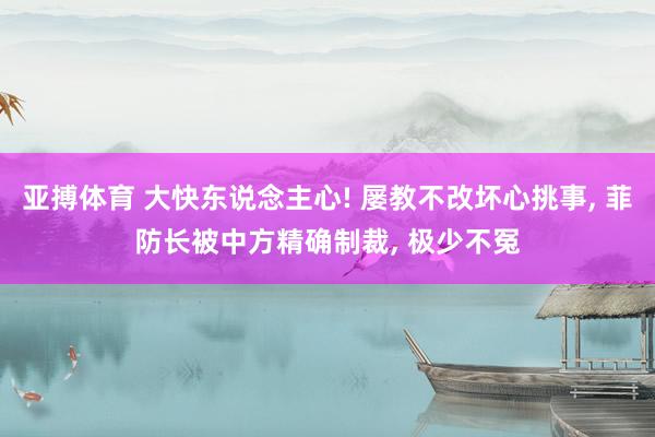 亚搏体育 大快东说念主心! 屡教不改坏心挑事, 菲防长被中方精确制裁, 极少不冤
